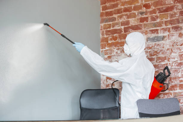 Best Airborne Mold Testing  in Du Quoin, IL