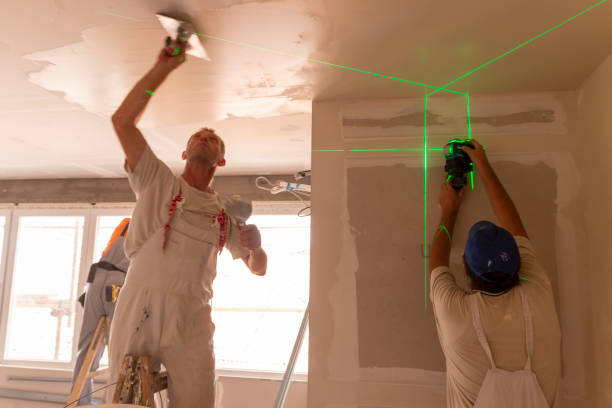 Best Post-Construction Mold Inspection  in Du Quoin, IL