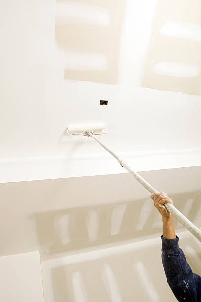Best Environmental Consulting for Mold Prevention  in Du Quoin, IL
