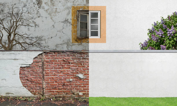 Best Mold Odor Removal Services  in Du Quoin, IL