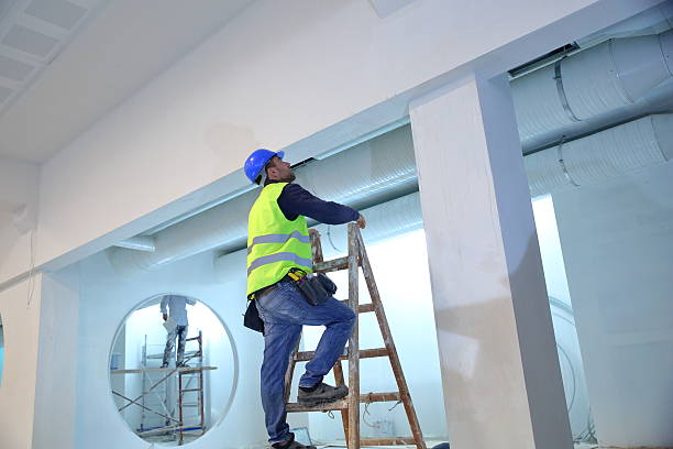 Professional Mold Removal in Du Quoin, IL