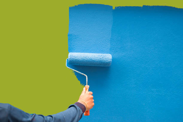 Best Mold Documentation for Insurance Claims  in Du Quoin, IL